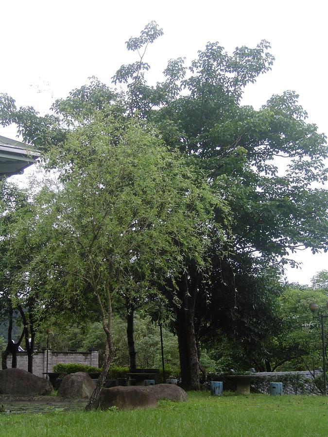 Fumei Bluebird Homestay Nanzhuang Buitenkant foto