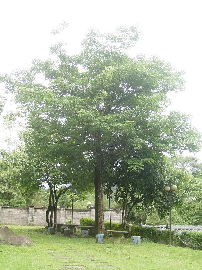 Fumei Bluebird Homestay Nanzhuang Buitenkant foto